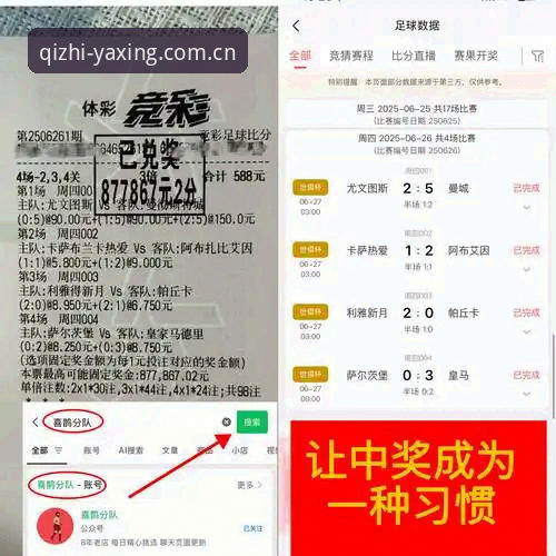 亚星娱乐平台气质在线足球数据最新动态：从复盘难题到实用数据工具的进化